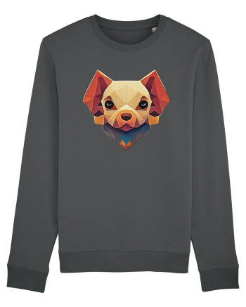 little dog Anthracite