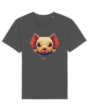 little dog Anthracite