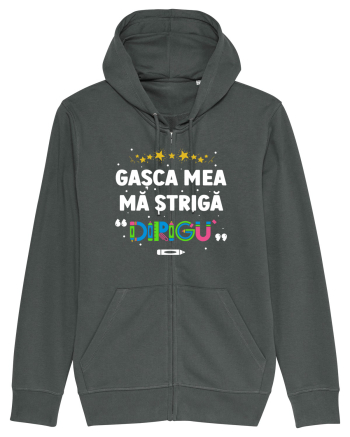 Gașca mea mă strigă 