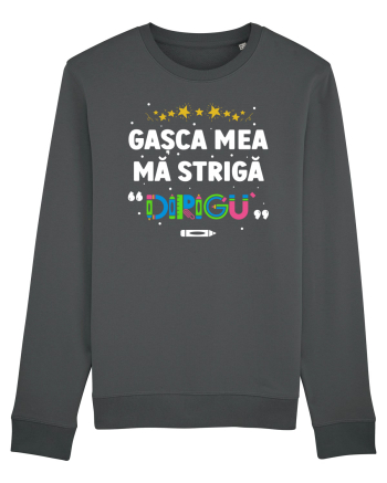 Gașca mea mă strigă 