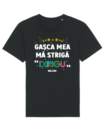 Gașca mea mă strigă 