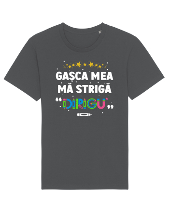 Gașca mea mă strigă 