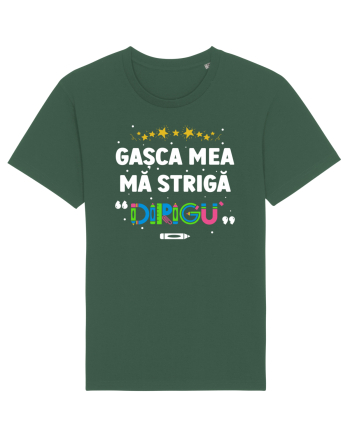 Gașca mea mă strigă 