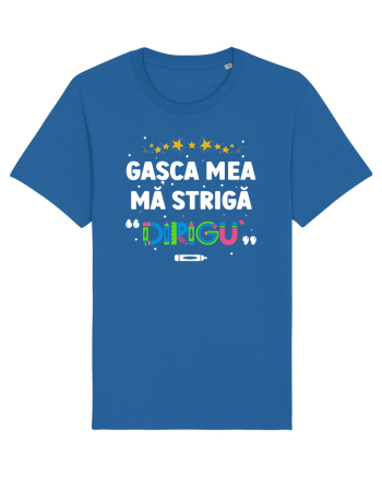 Gașca mea mă strigă 