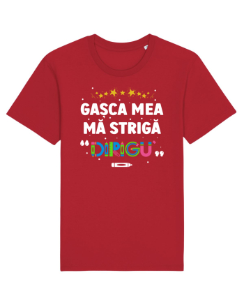 Gașca mea mă strigă 