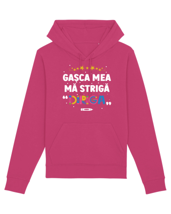 Gașca mea mă strigă 