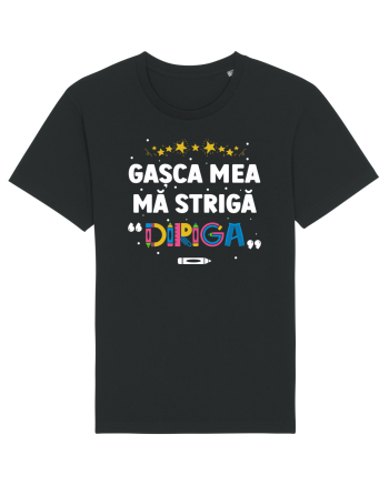 Gașca mea mă strigă 