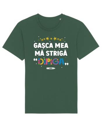 Gașca mea mă strigă 