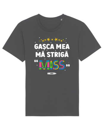 Gașca mea mă strigă 