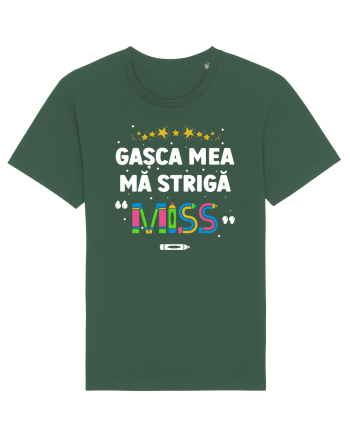 Gașca mea mă strigă 