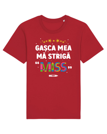 Gașca mea mă strigă 