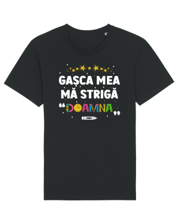 Gașca mea mă strigă 