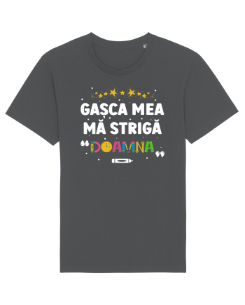 Gașca mea mă strigă 