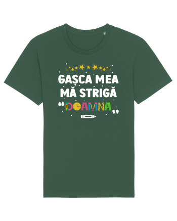 Gașca mea mă strigă 