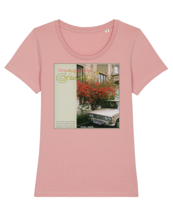 How do you make friends? Canyon Pink