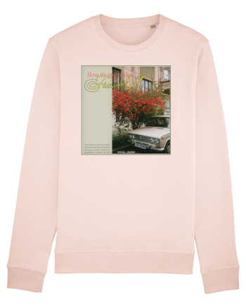 How do you make friends? Candy Pink