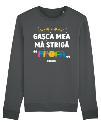 Gașca mea mă strigă  Anthracite