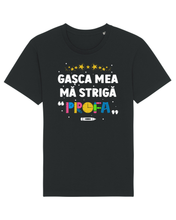 Gașca mea mă strigă  Black
