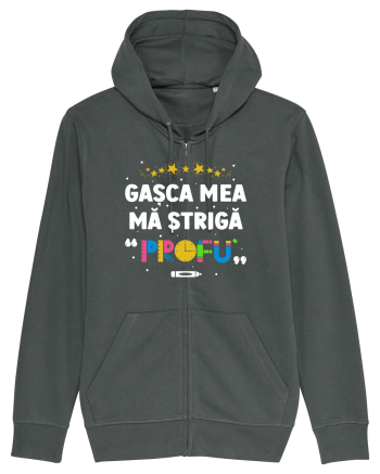 Gașca mea mă strigă 