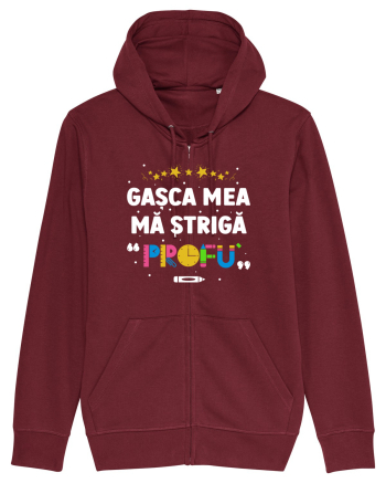 Gașca mea mă strigă 