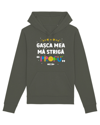 Gașca mea mă strigă 