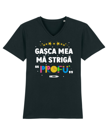 Gașca mea mă strigă 