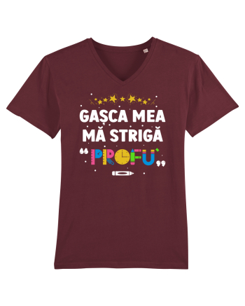 Gașca mea mă strigă 