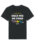 Gașca mea mă strigă 