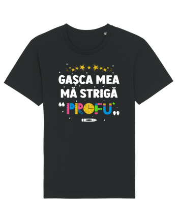 Gașca mea mă strigă 