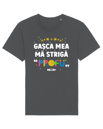 Gașca mea mă strigă 