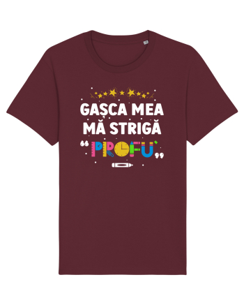 Gașca mea mă strigă 