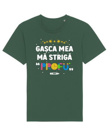 Gașca mea mă strigă 