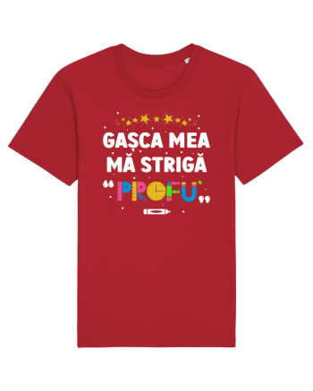 Gașca mea mă strigă 