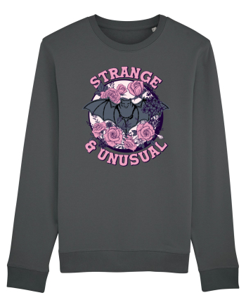 Strange & Unusual Anthracite