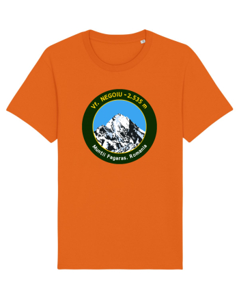 Vf. Negoiu 2535m Bright Orange