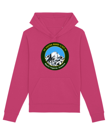 Varful Vistea Mare Raspberry
