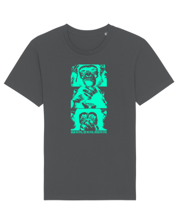 neon monkeyz Anthracite