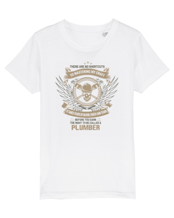 PLUMBER White