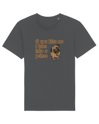 PUG Anthracite