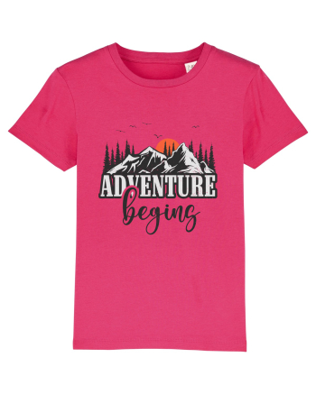 Adventure Begin Raspberry