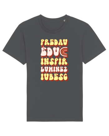 Predau, educ, inspir, luminez, iubesc Anthracite