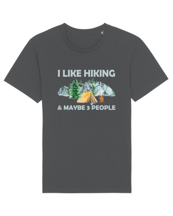 I Like Hiking & Maybe 3 People Anthracite