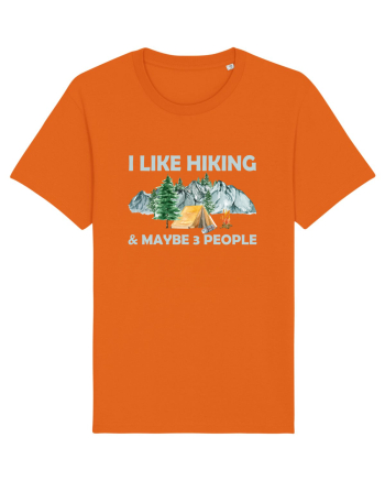 I Like Hiking & Maybe 3 People Bright Orange