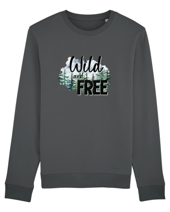 Wild and Free Anthracite
