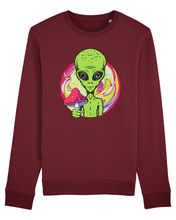 Edm Trippy Mushroom Alien Burgundy