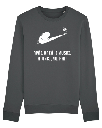 Just do it slowly - alb Anthracite
