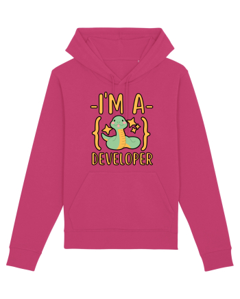I'm A Python Developer Raspberry