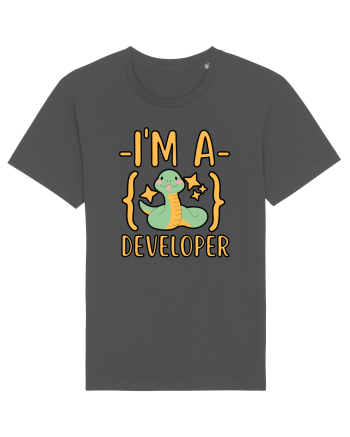 I'm A Python Developer Anthracite