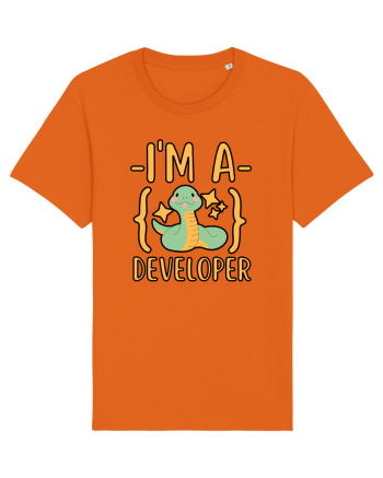 I'm A Python Developer Bright Orange
