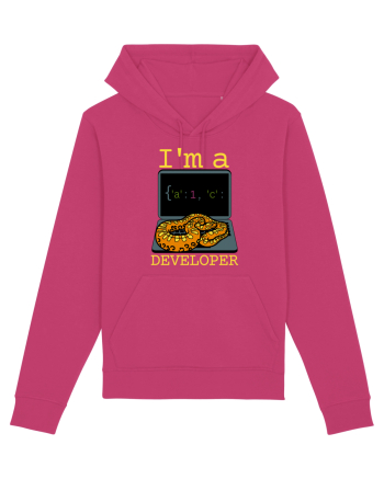 I'm A Python Developer Raspberry